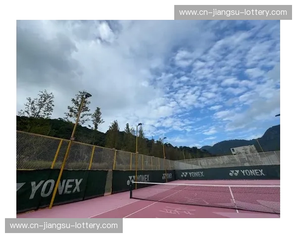 网球图集:挥拍之间的视觉盛宴